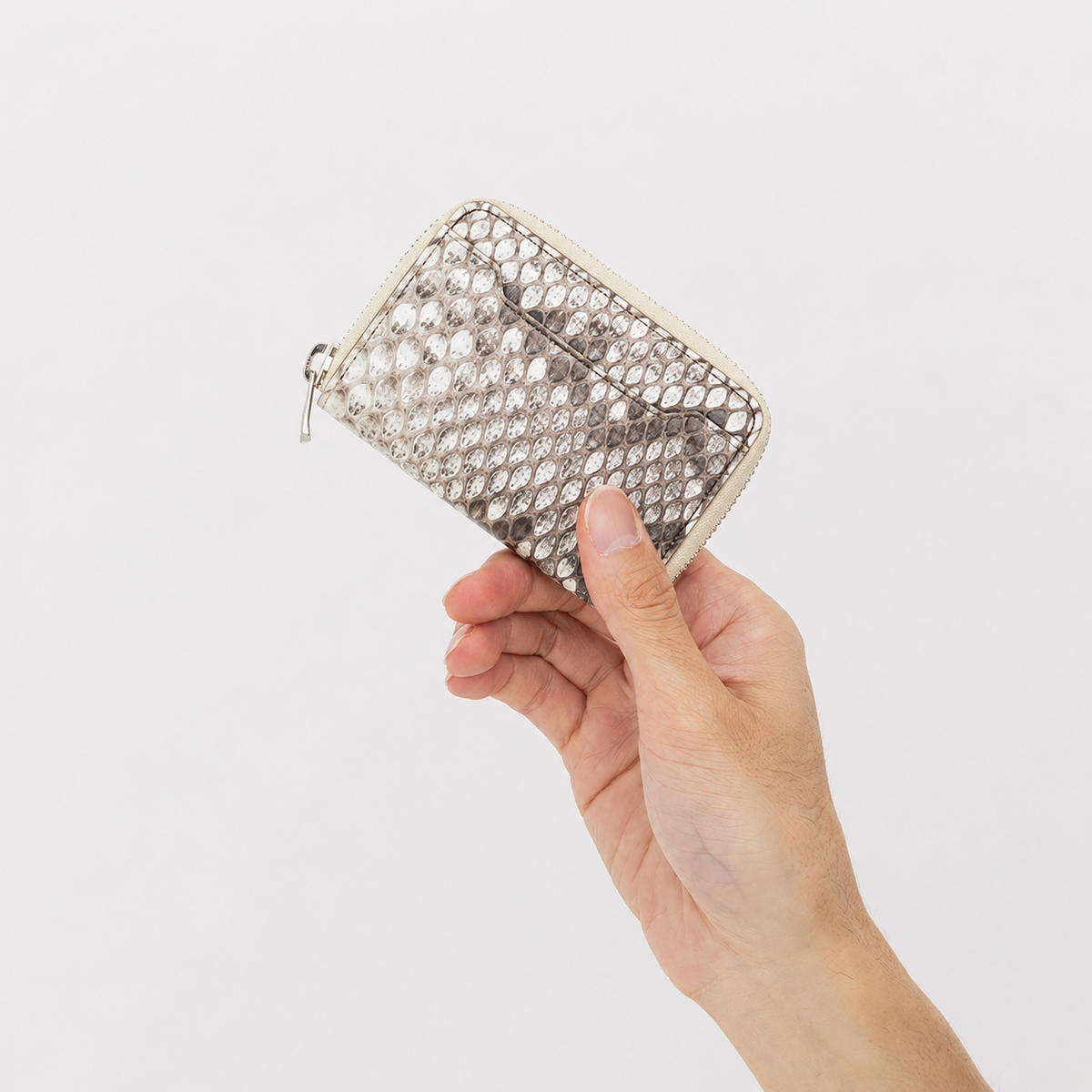CRISTY COIN CARD WLT|MOLURUS パイソンレザー 財布|再生と気品を纏う蛇革ミニウォレット|ITTI(イッチ)