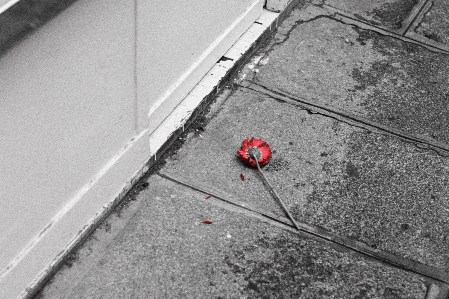 オンラインショップ年末年始の営業について｜ITTI（イッチ）公式｜2025 - 2026年