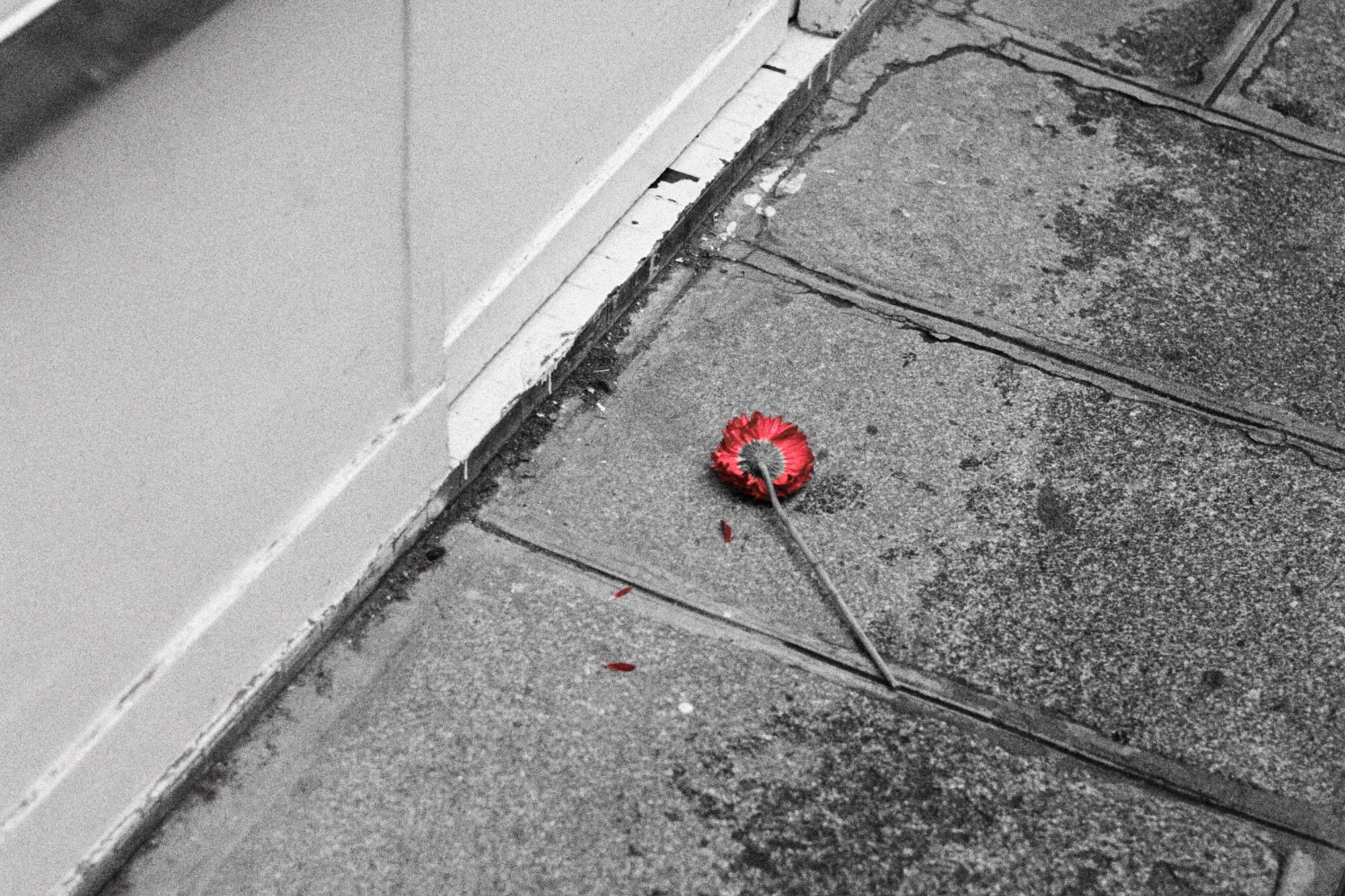 オンラインショップ年末年始の営業について｜ITTI（イッチ）公式｜2025 - 2026年