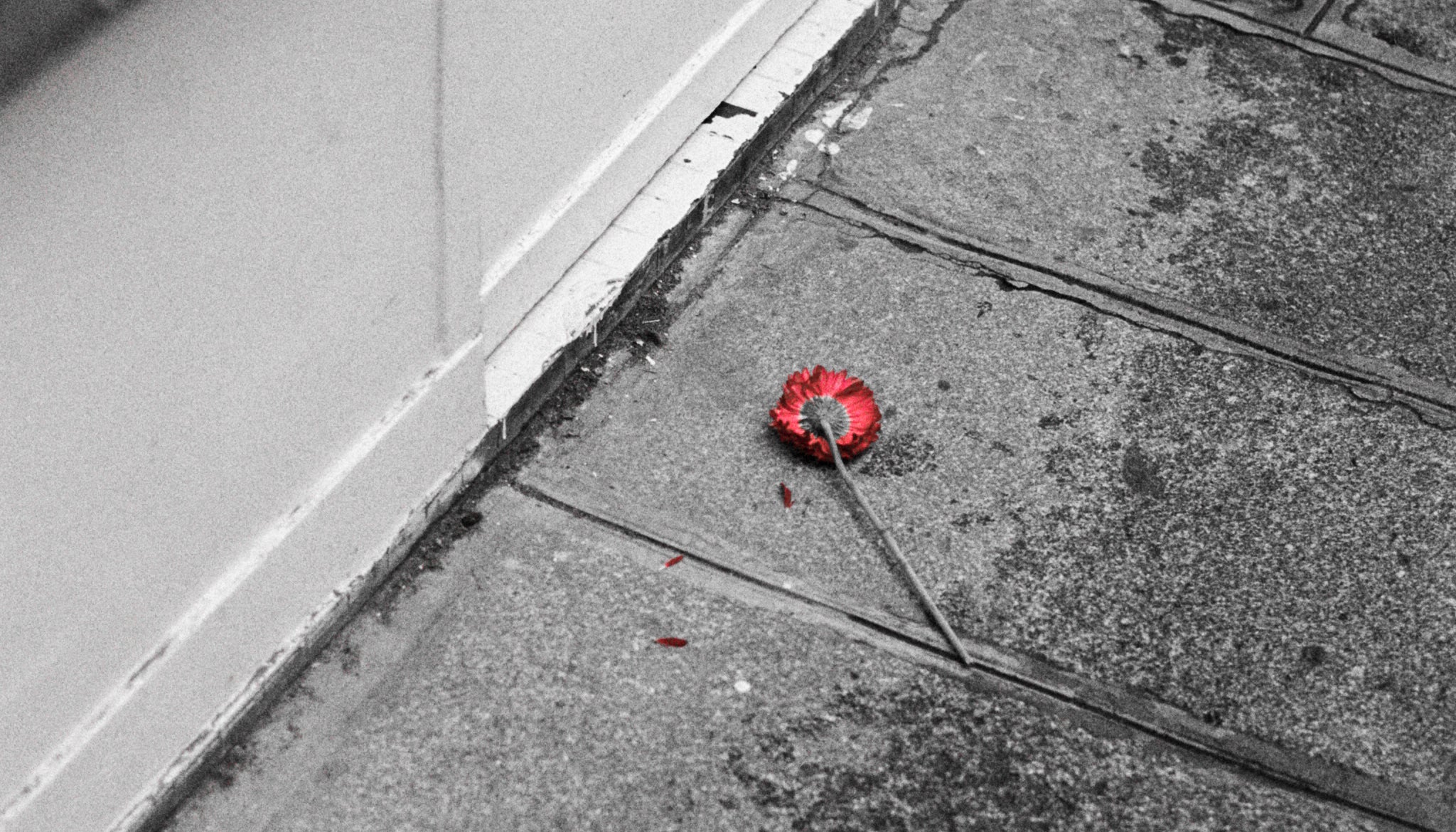 オンラインショップ年末年始の営業について｜ITTI（イッチ）公式｜2025 - 2026年