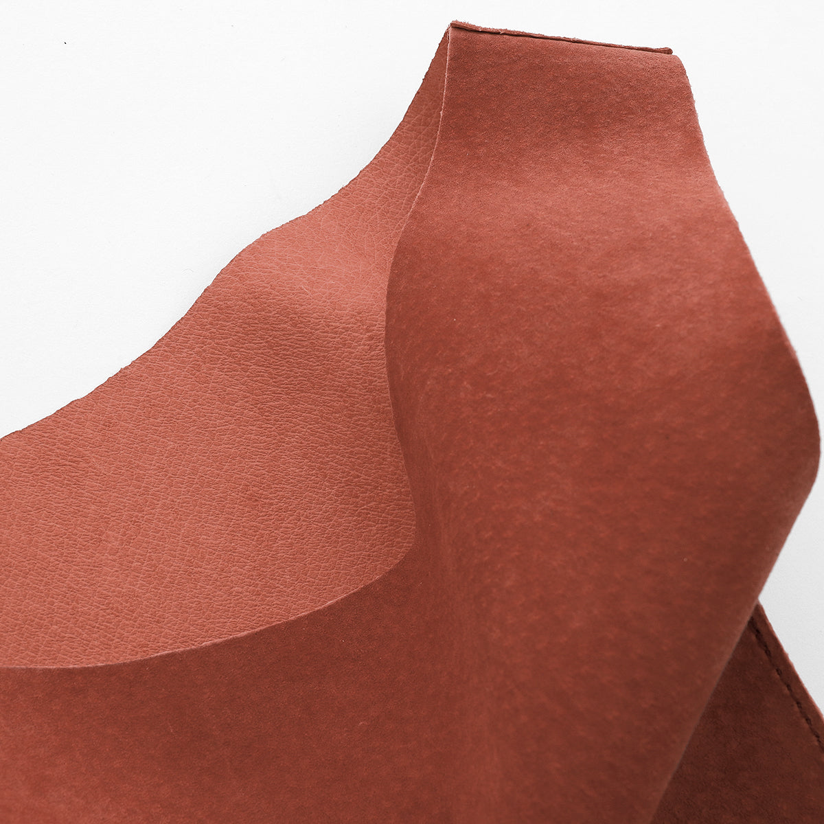 ANNIE REGISTER POUCH / PS【LIMITED】