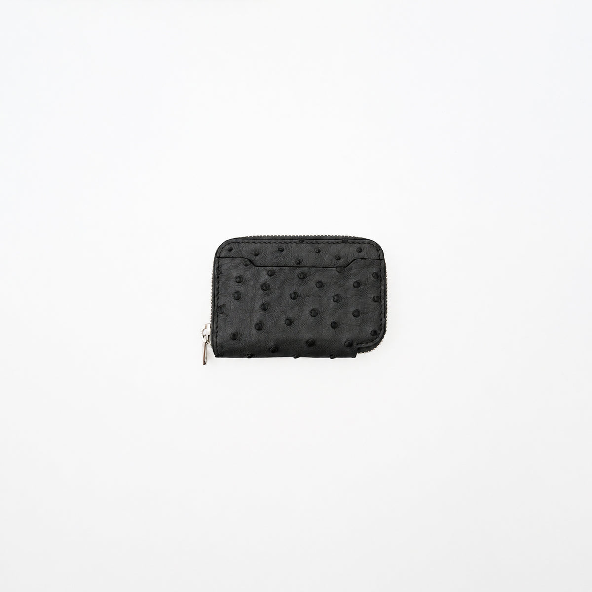 CRISTY COIN CARD WLT / OSTRICH【LIMITED】