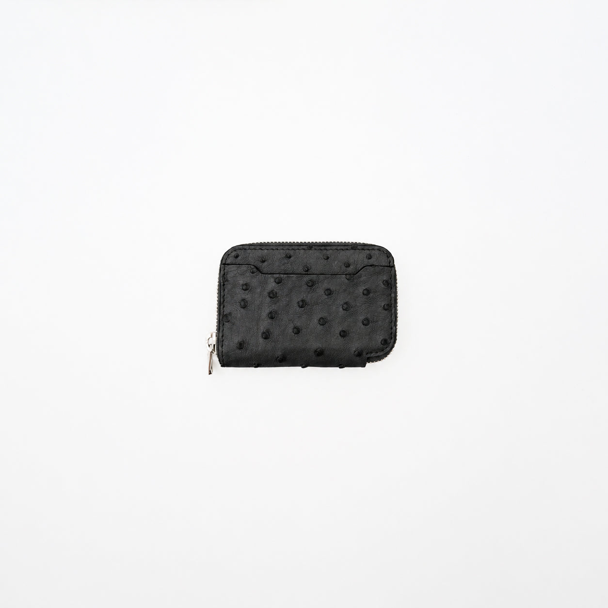 CRISTY COIN CARD WLT / OSTRICH【LIMITED】