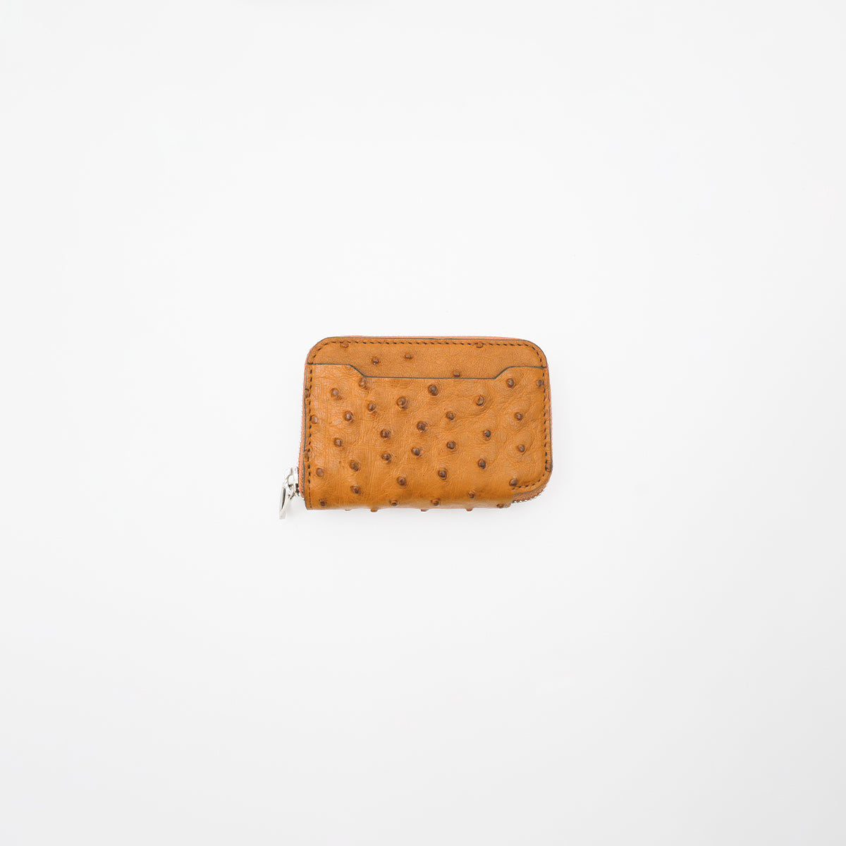 CRISTY COIN CARD WLT / OSTRICH【LIMITED】