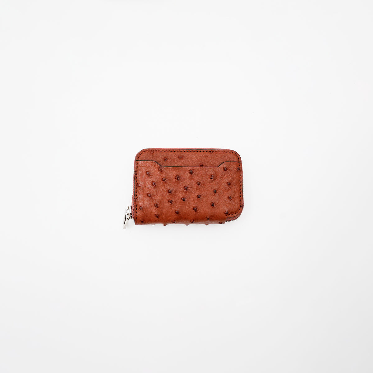 CRISTY COIN CARD WLT｜オーストリッチ使用の上質ミニ財布｜クイルマークが魅力の本革ウォレット｜ITTI（イッチ）公式