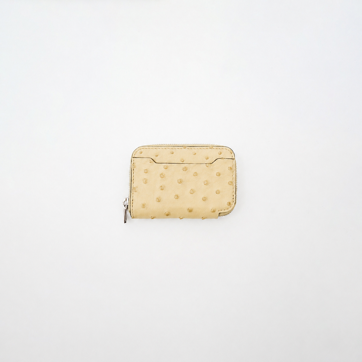 CRISTY COIN CARD WLT / OSTRICH【LIMITED】