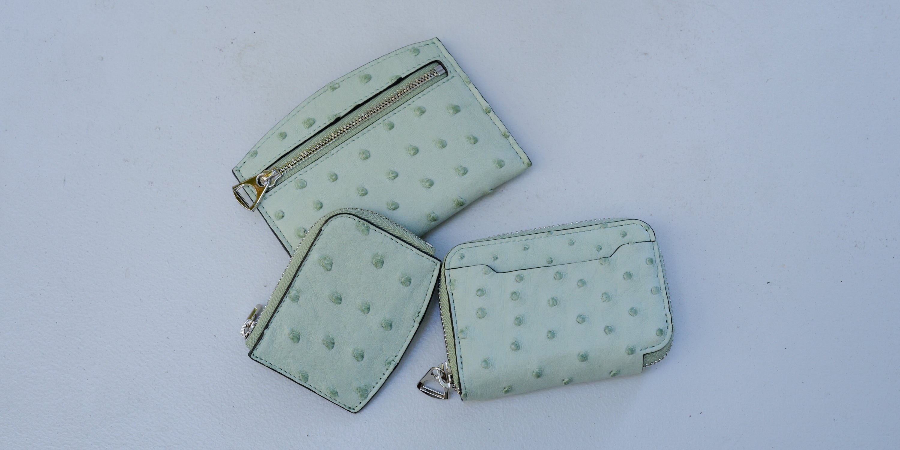 OSTRICH（オーストリッチ）｜高級エキゾチックレザー財布・バッグ｜ITTI（イッチ）公式オンラインショップ